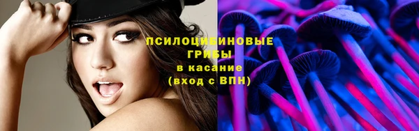 mdpv Корсаков