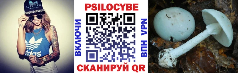 Галлюциногенные грибы MAGIC MUSHROOMS  Купить  Каневская 